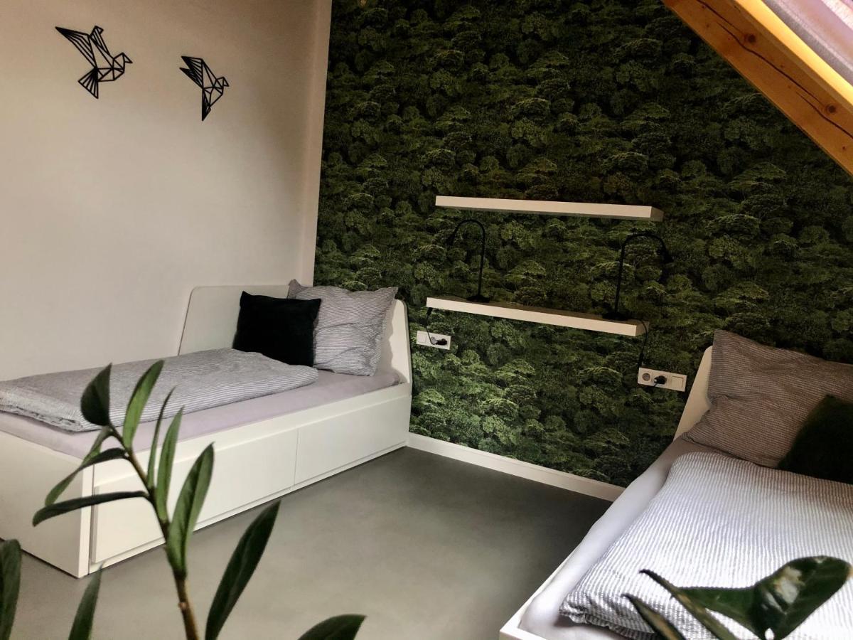 Apartman Cervenice Dlouhy Εξωτερικό φωτογραφία